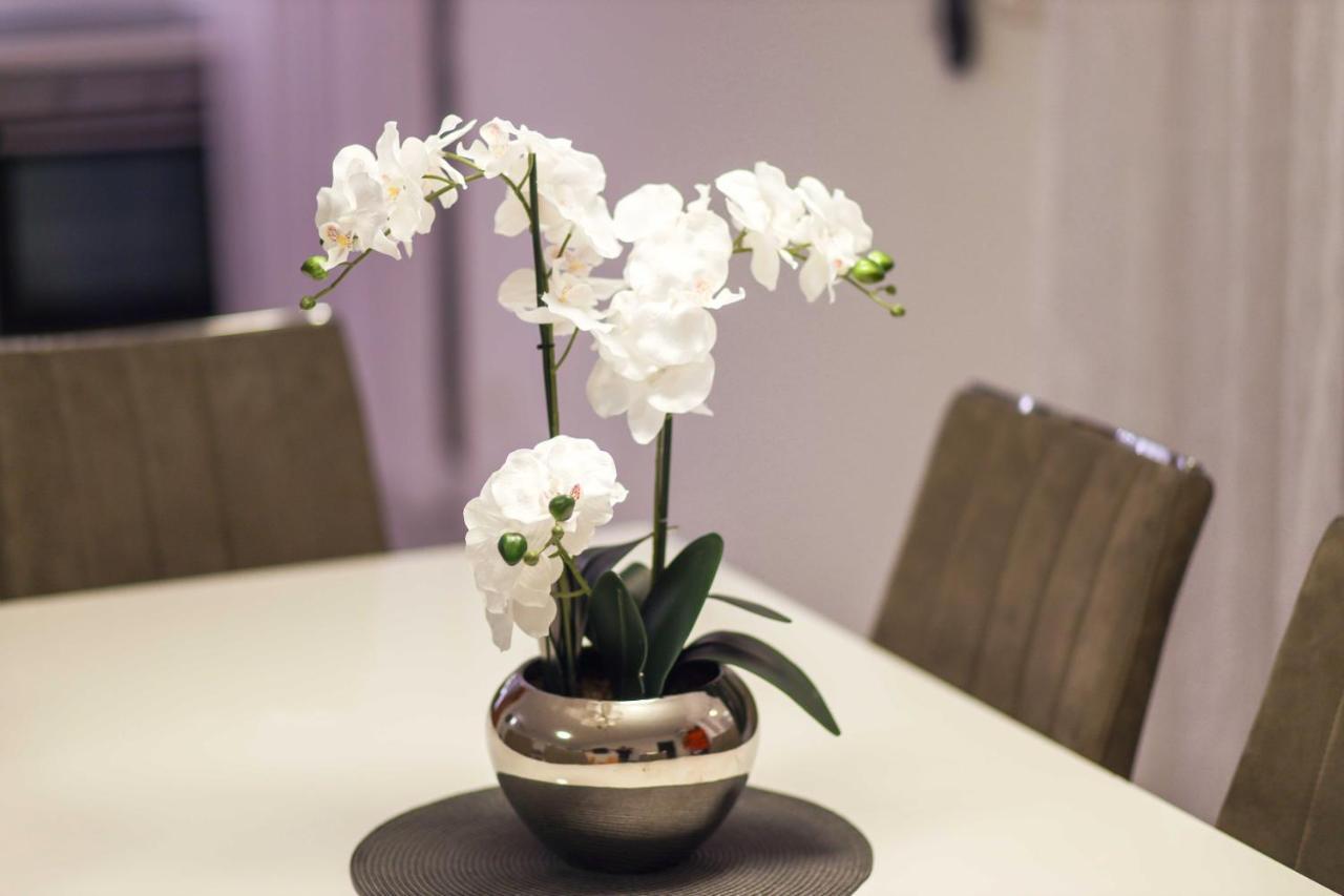 Villa Castelli, Apartment With Pool, คาชเตลา ภายนอก รูปภาพ